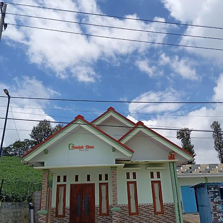 Dhea Homestay Bromo Probolinggo Dış mekan fotoğraf